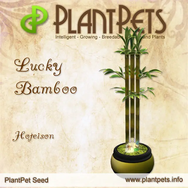 Poster for Lucky Bamboo *Hoteison*