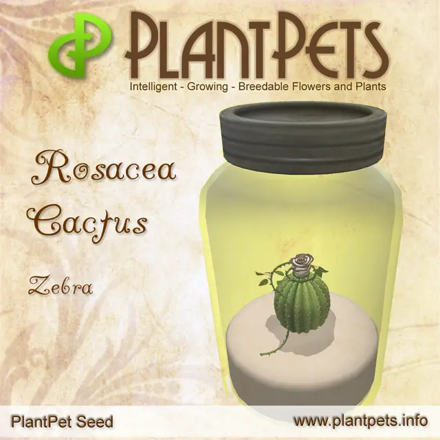 Poster for Rosacea Cactus *Zebra*